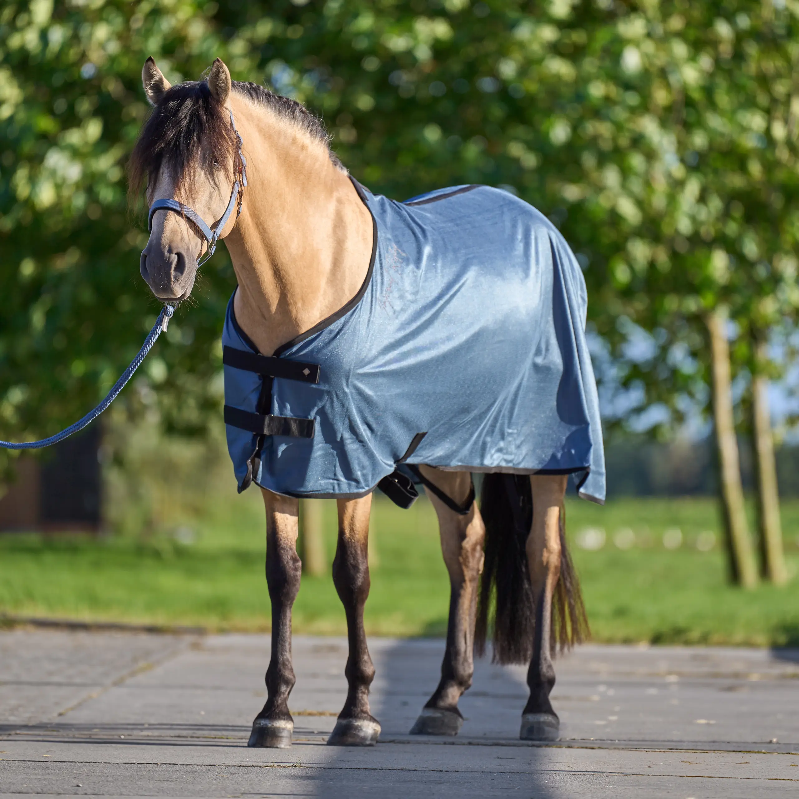 Transport blanket IRHMesh summer 2025