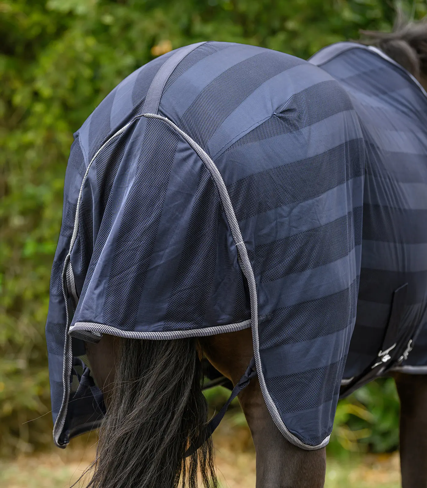 Fly blanket Economic