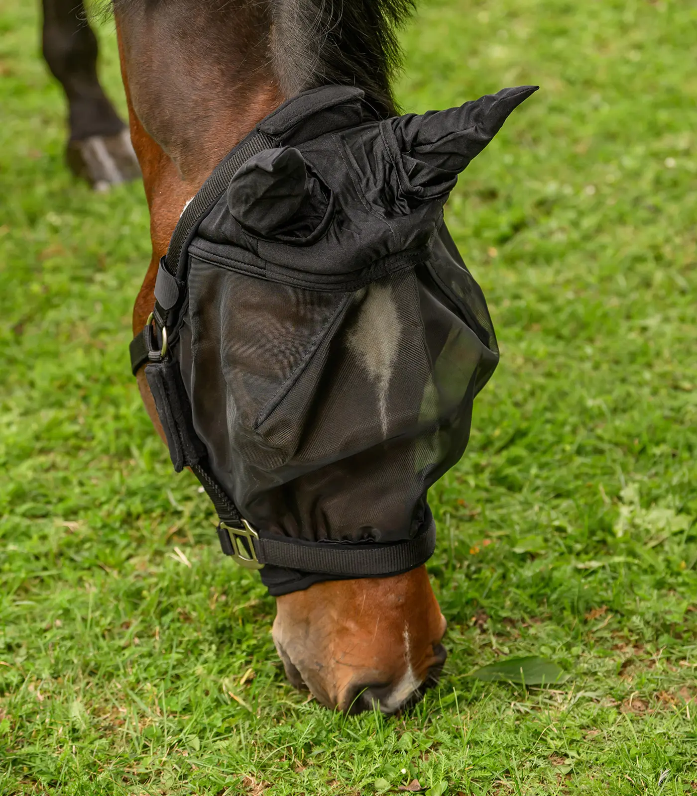 PREMIUM Fly Mask, with ear protection