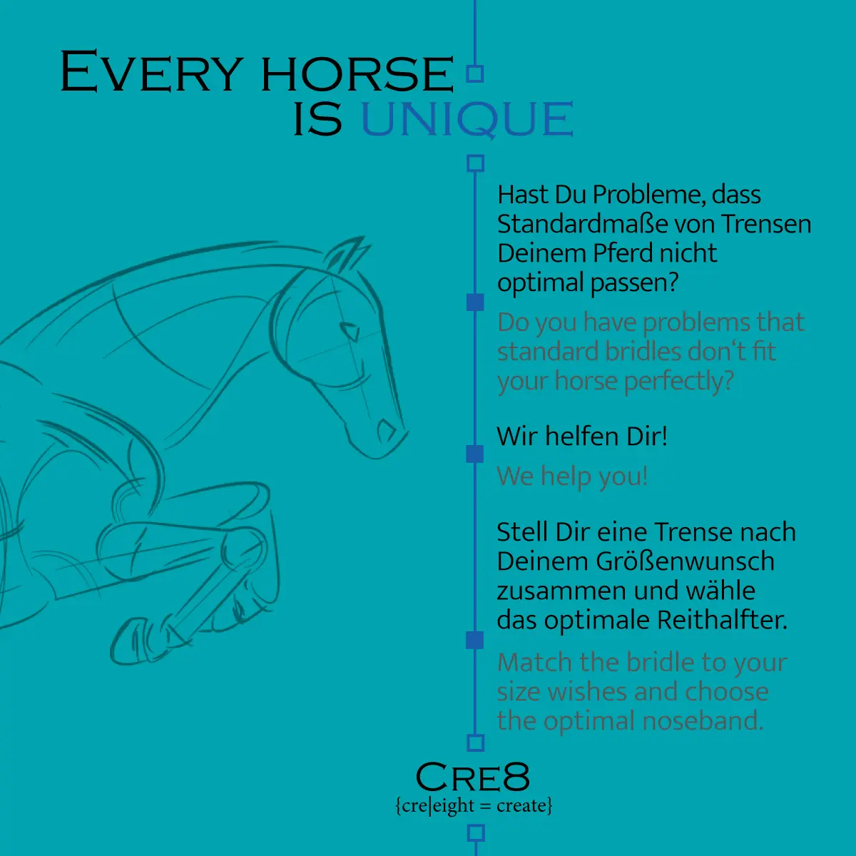 English special nosebands "Cre8" -with flash