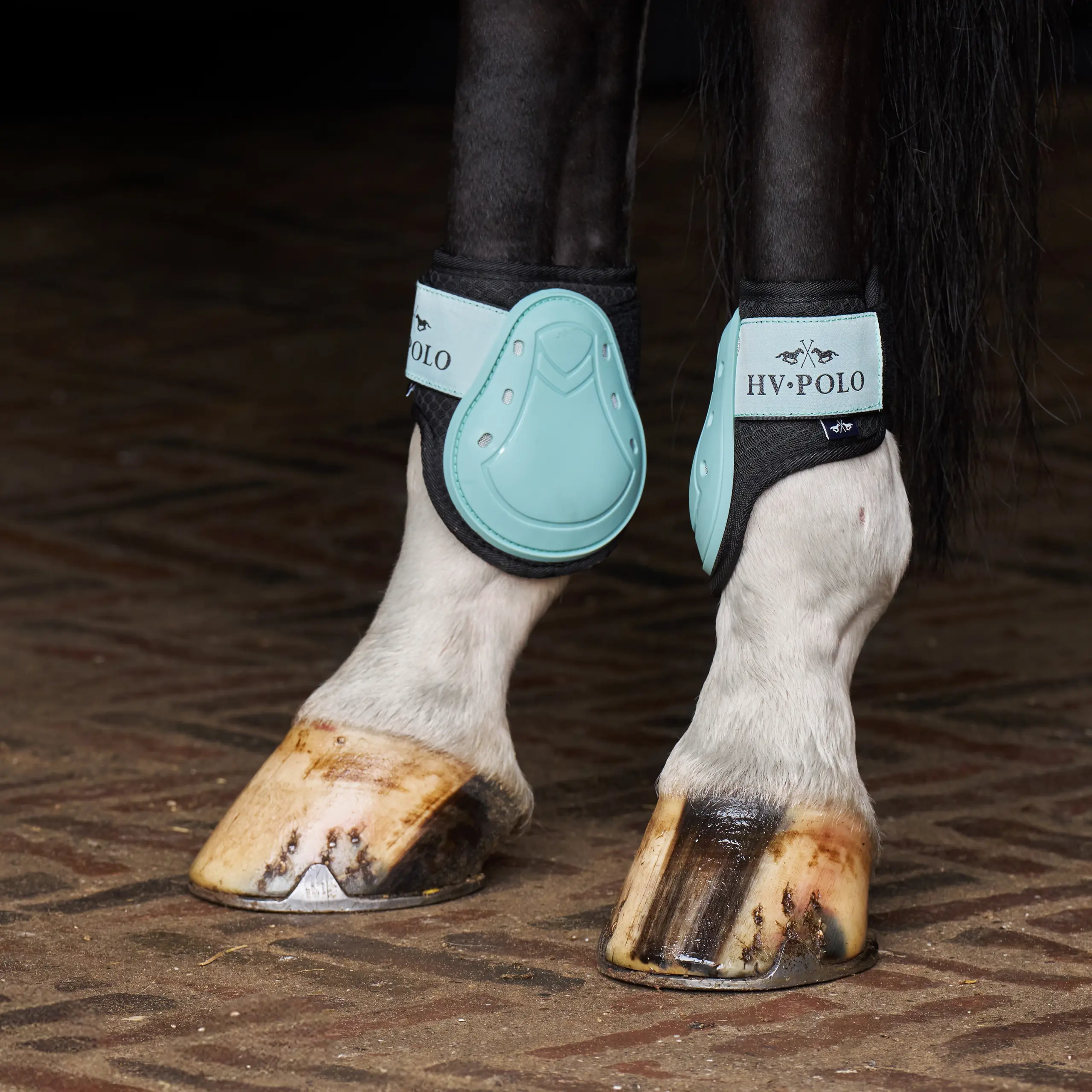 Tendon and fetlock bootset HVPClassic Sommer 2026