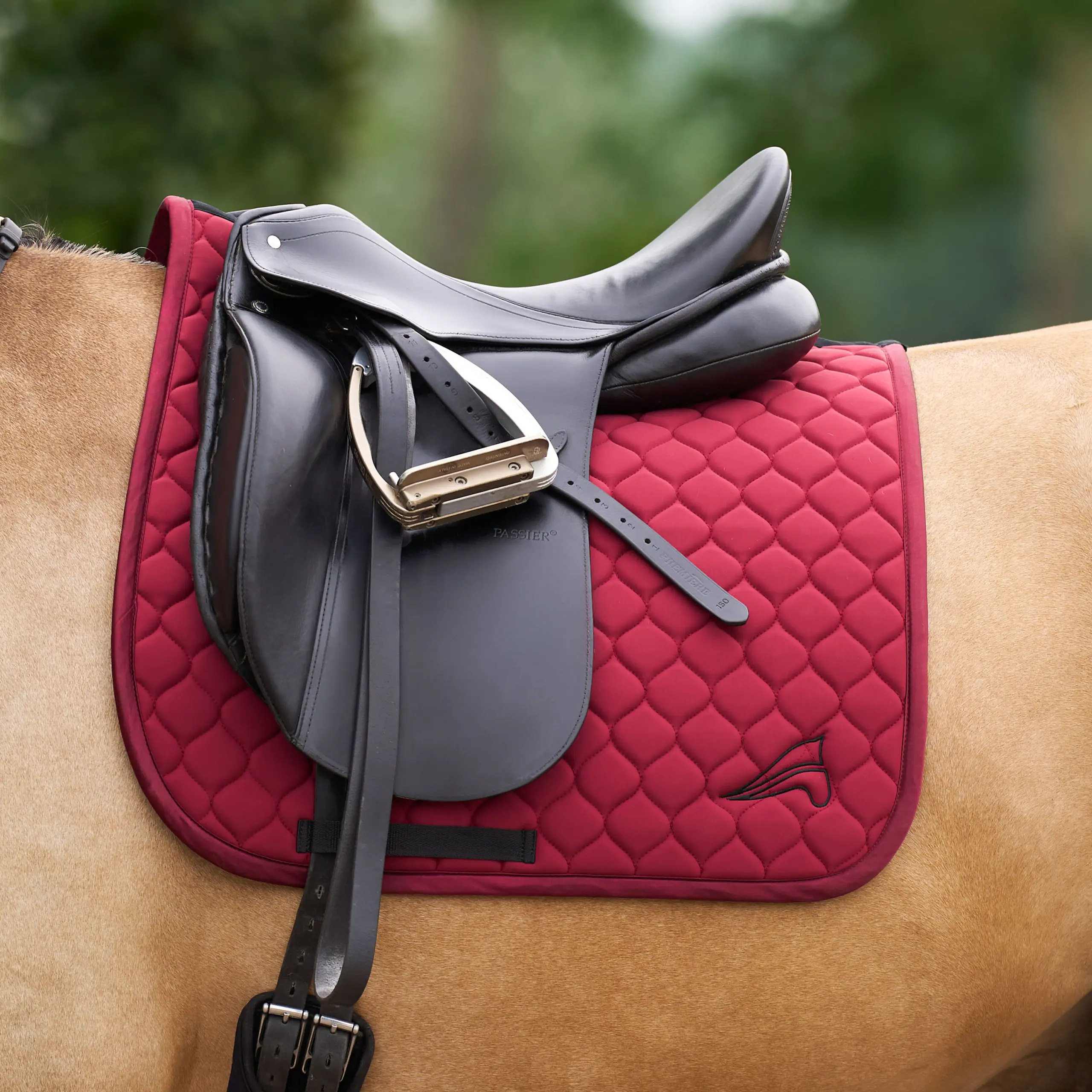 Saddle Pad ESCoco DR Summer 2026