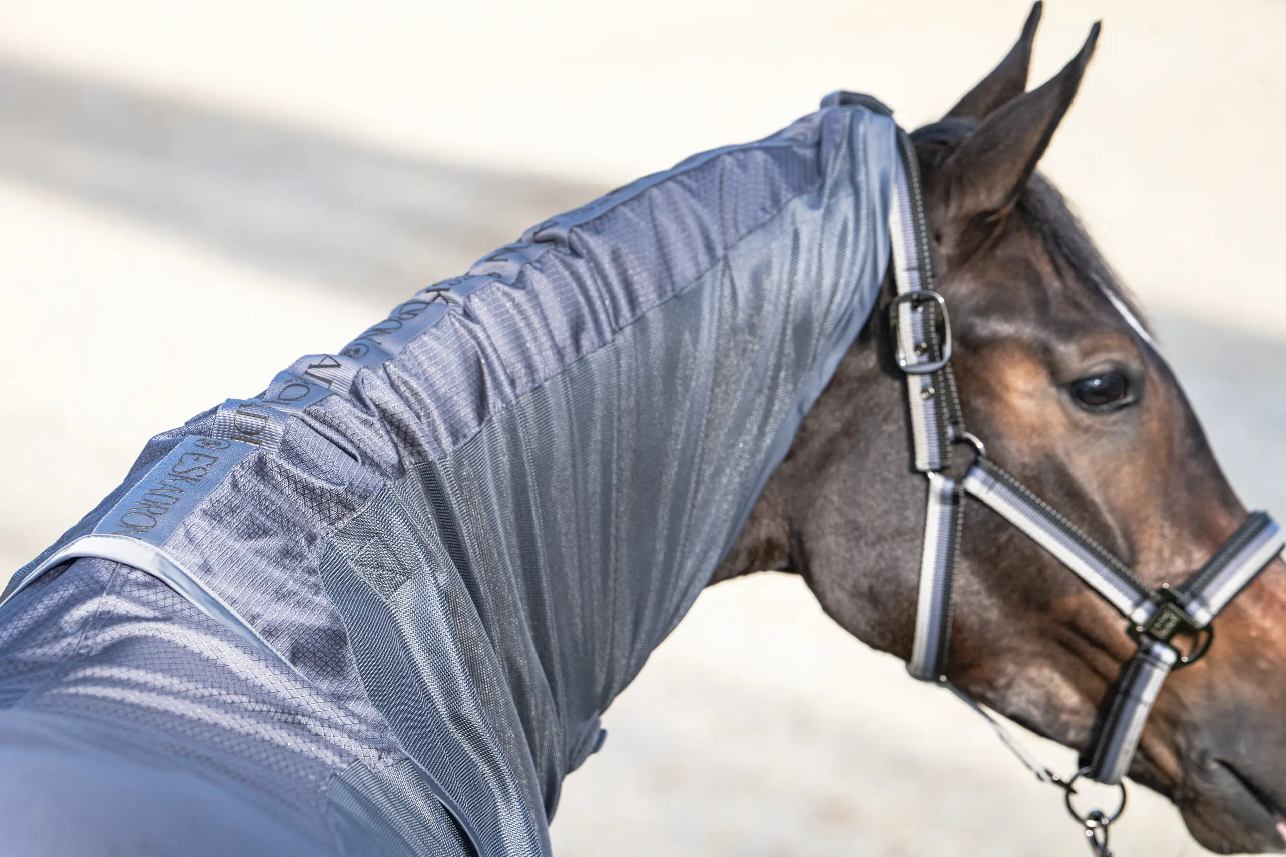 Regenfliegendecke RAIN FLY DETACH-NECK Platinum 2026