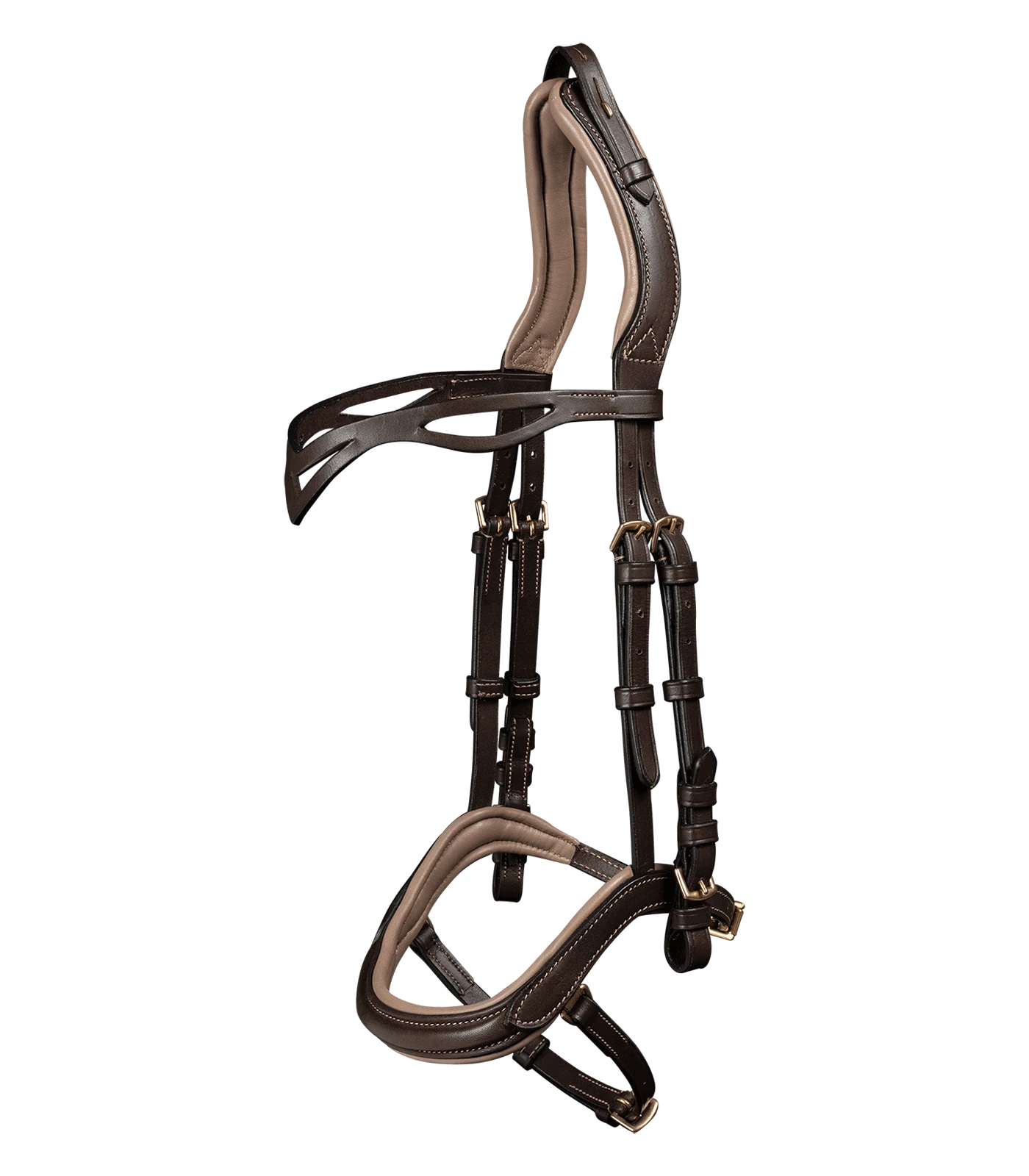 Island Trensenzaum ANATOMIC