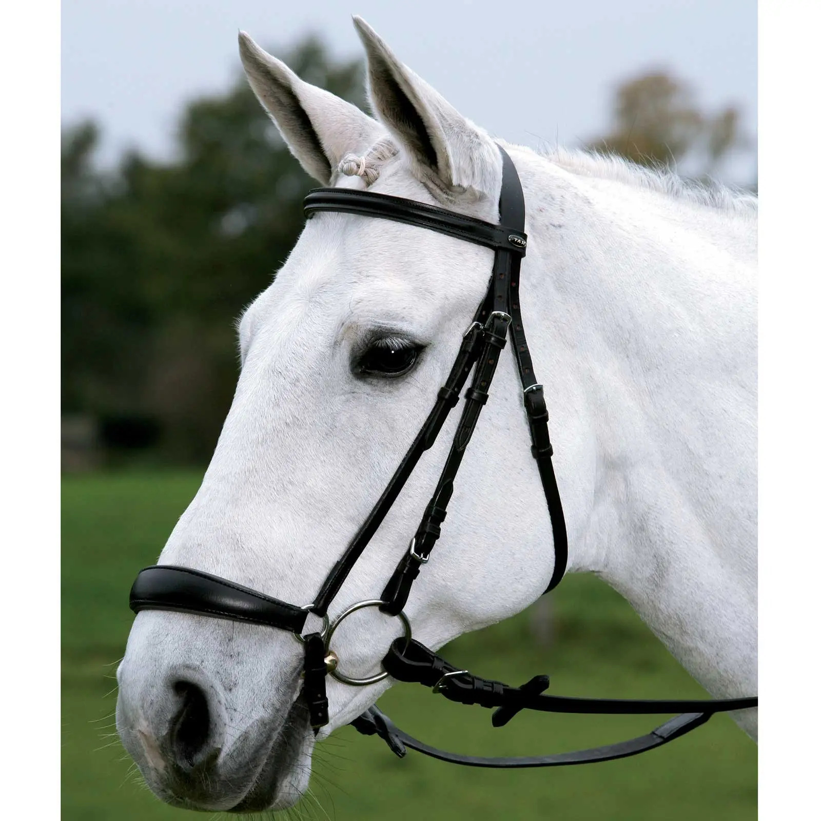 STAR Bridle Hannover