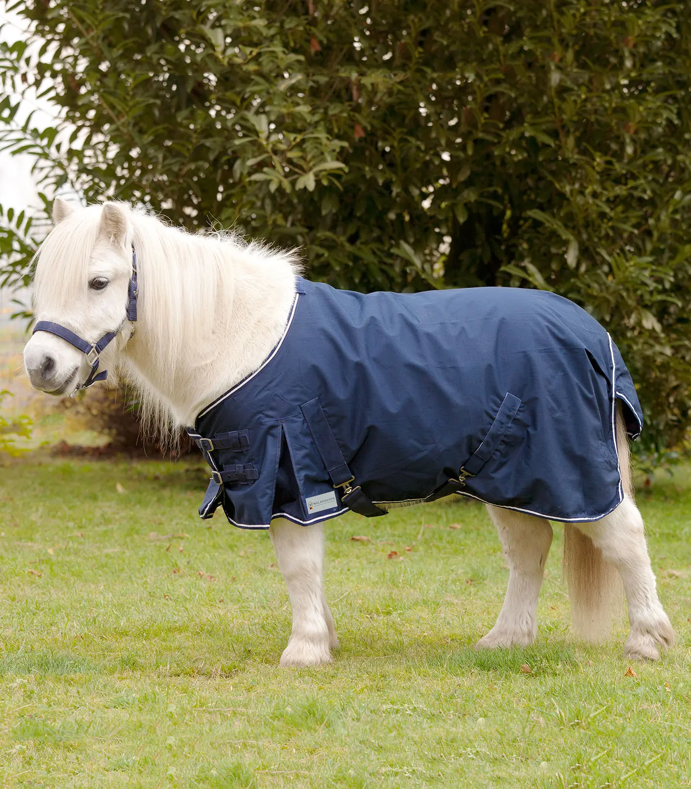 Shetty-Regendecke Light