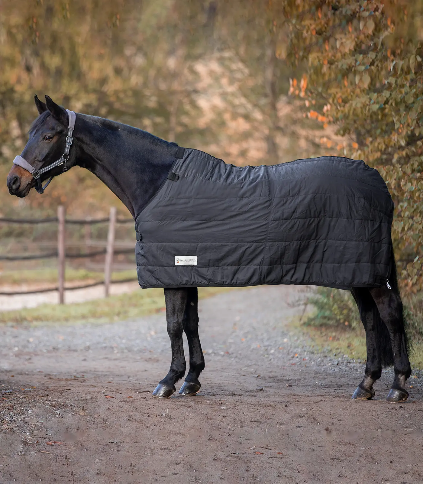 Thermal Underrug, 100 g