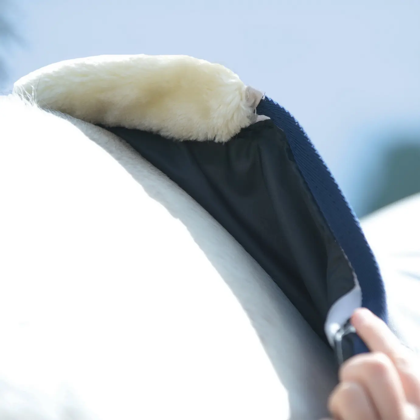 BUSSE Summer Rug EARLY SEASON