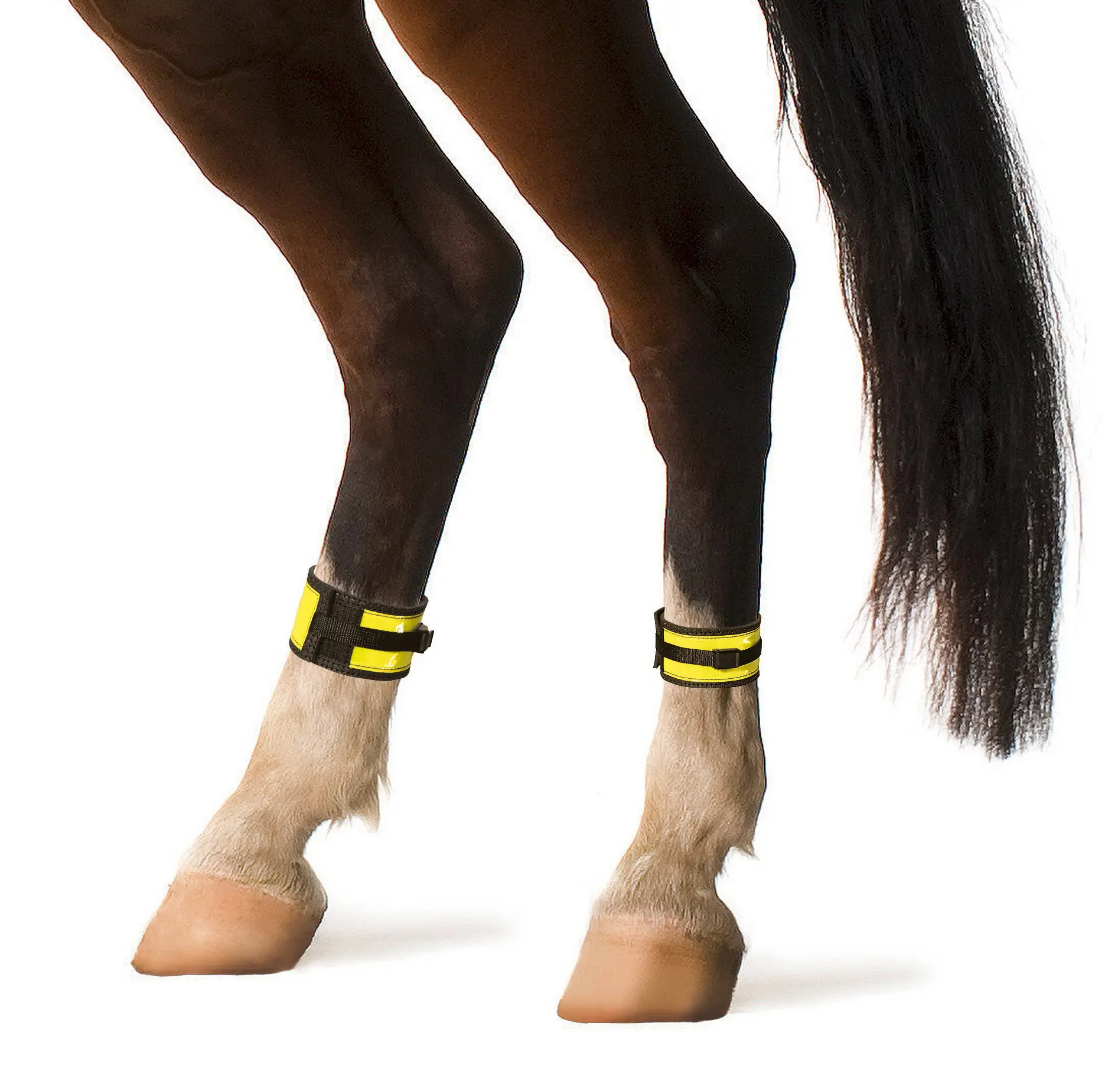 High-visibility gaiters