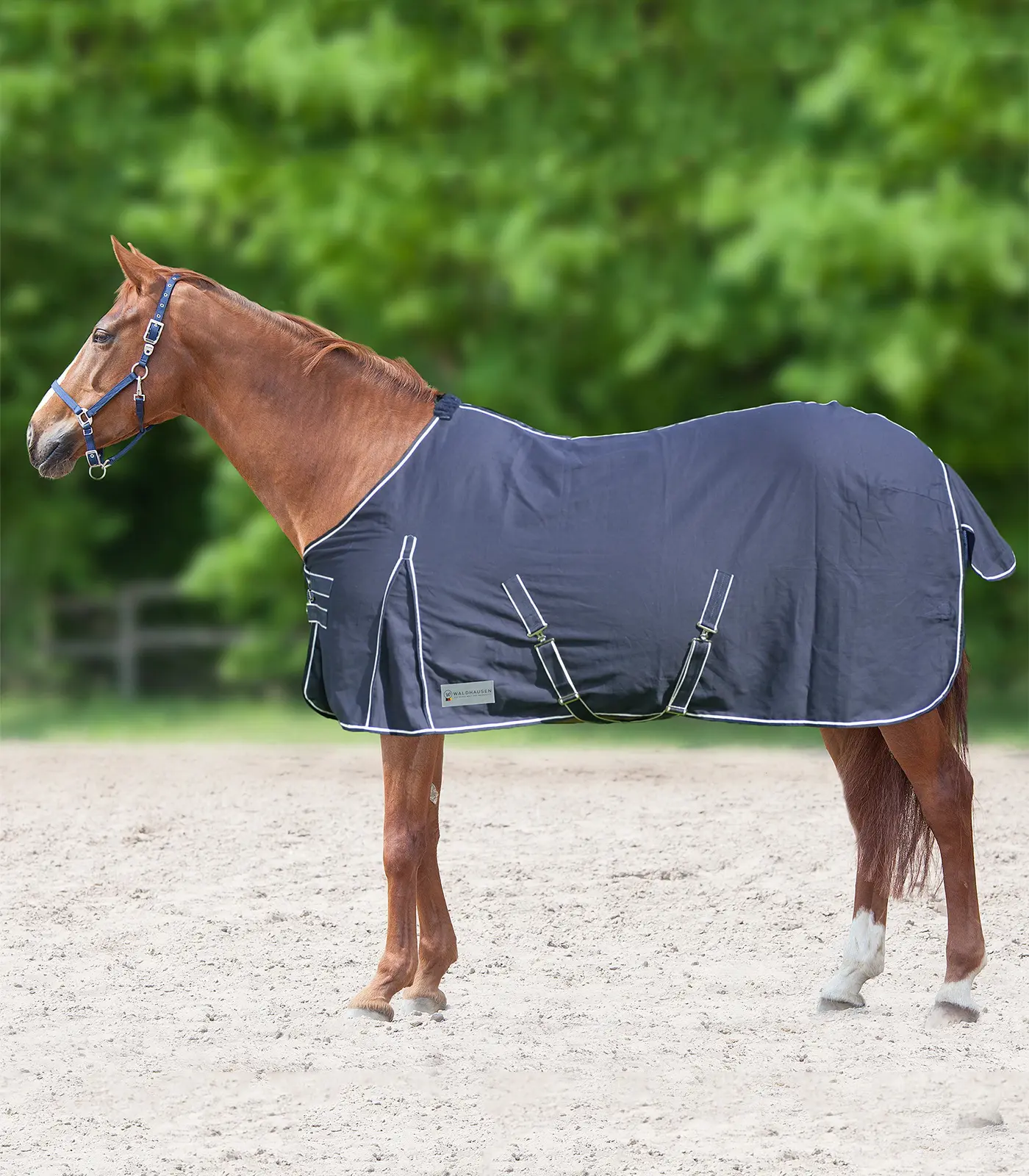 COMFORT stable and summer blanket