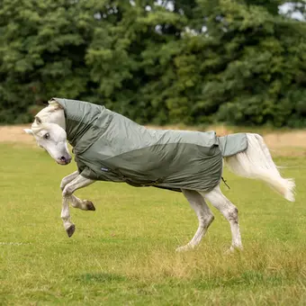 BUSSE Turnout Rug RAINFLY