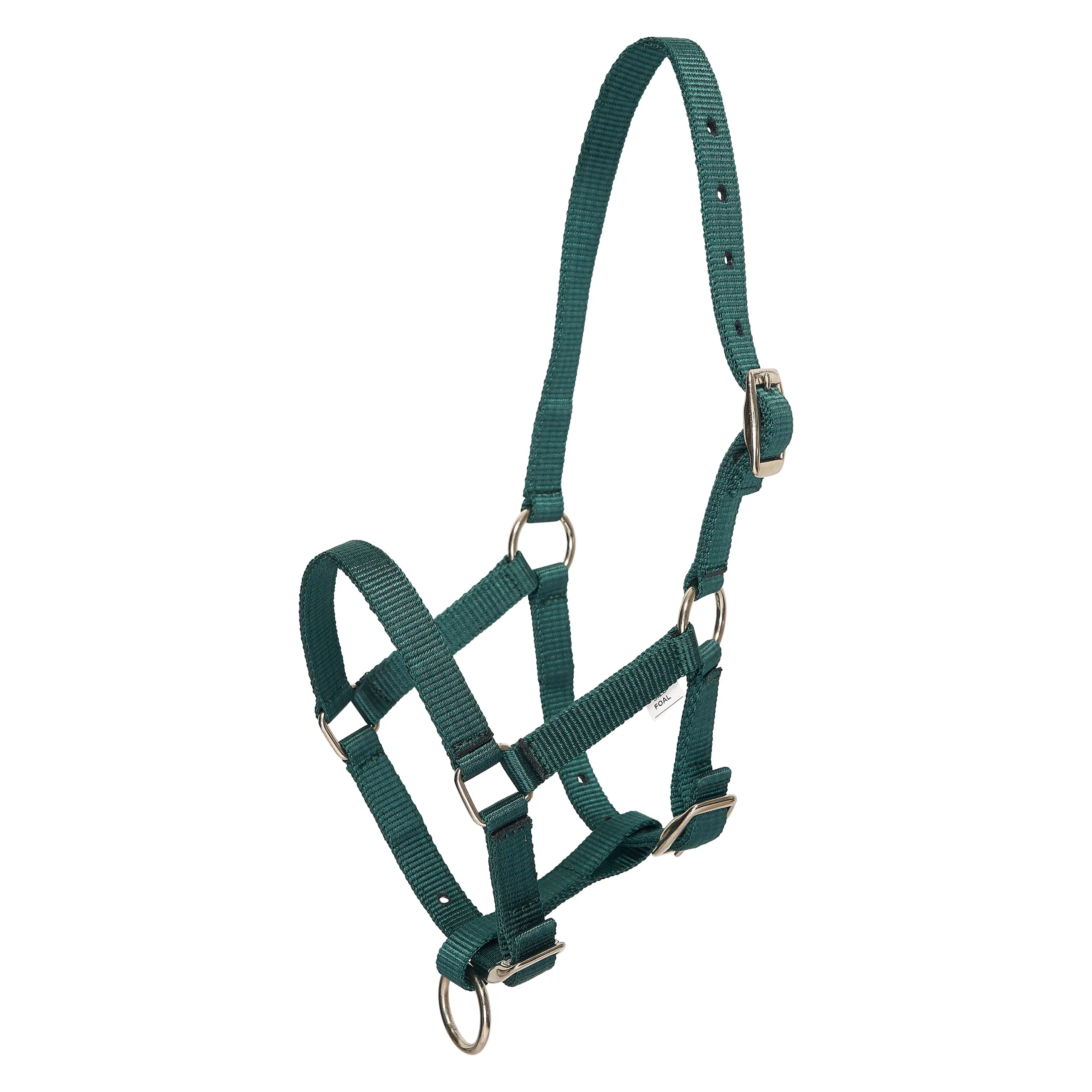 Halfter Fohlen HVPNena Winter 2025