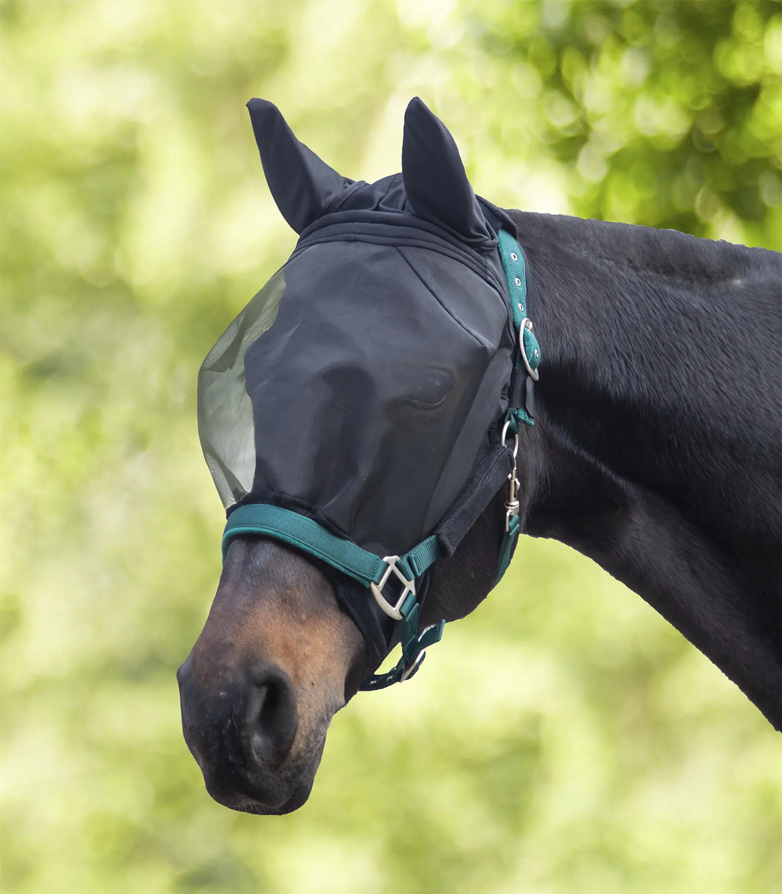 PREMIUM Fly Mask, with ear protection