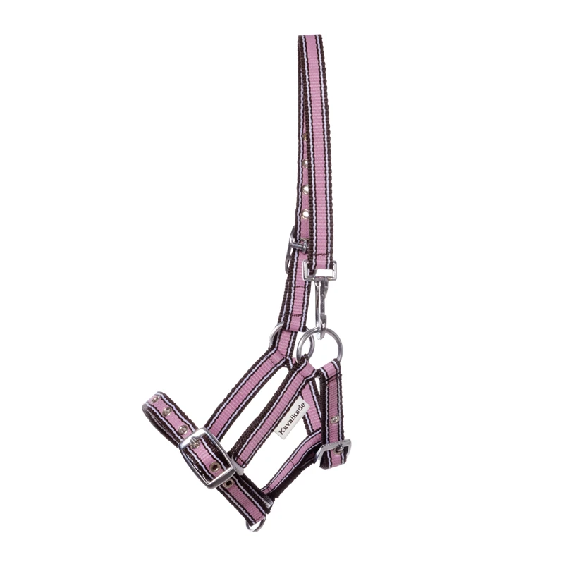 nylon Foal/Yearling halter