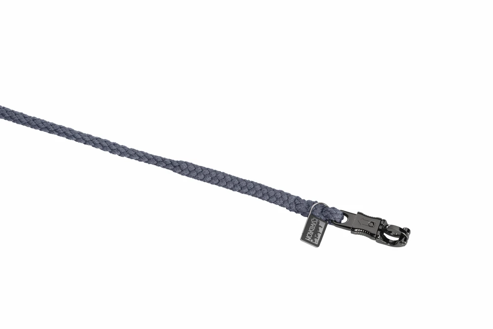 Rope REGULAR Platinum 2026 PH