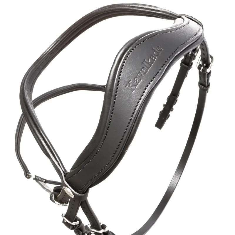 bridle oiled leather EVERANA hann.