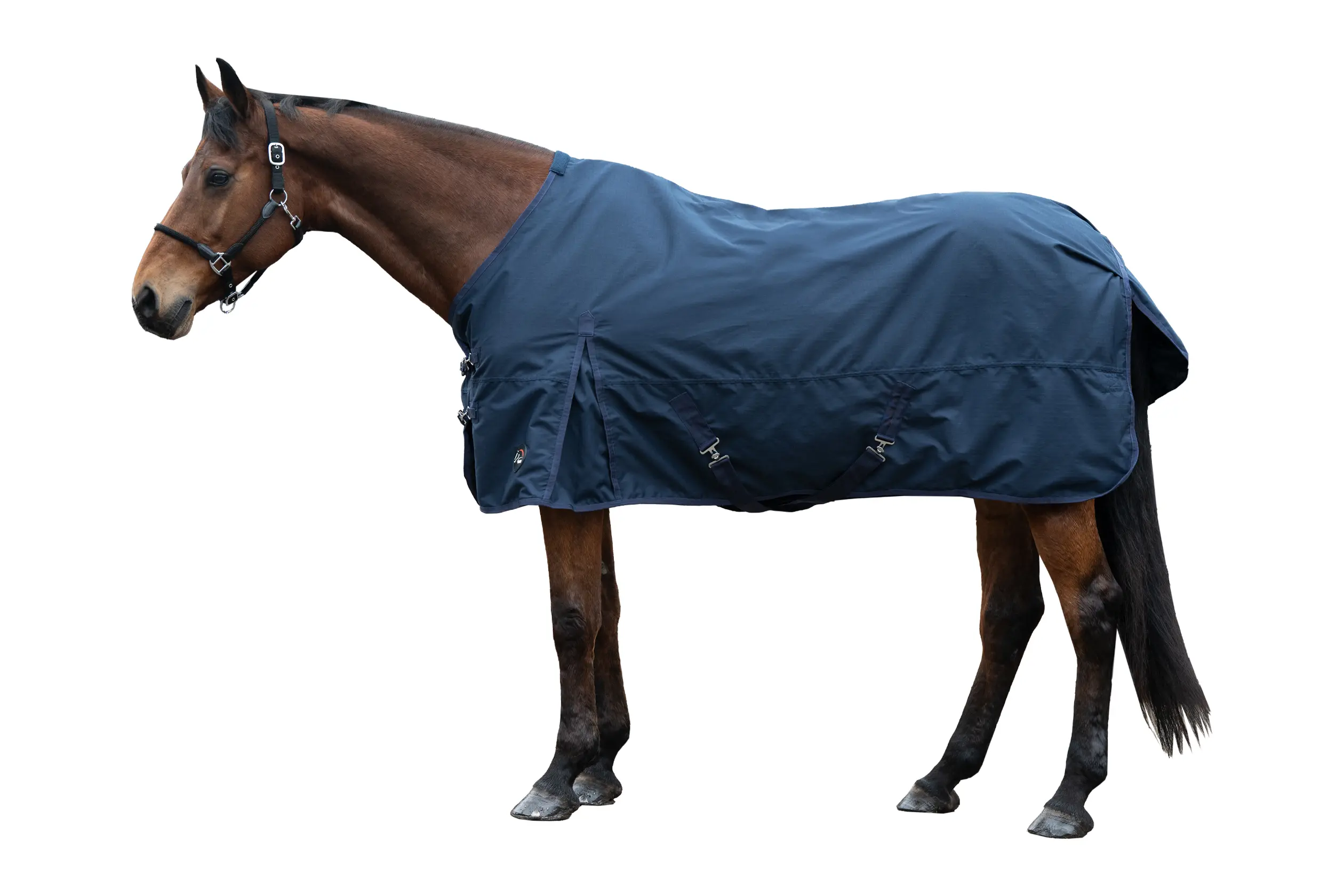 Turnout rug CHESTER 600D, 300g filling