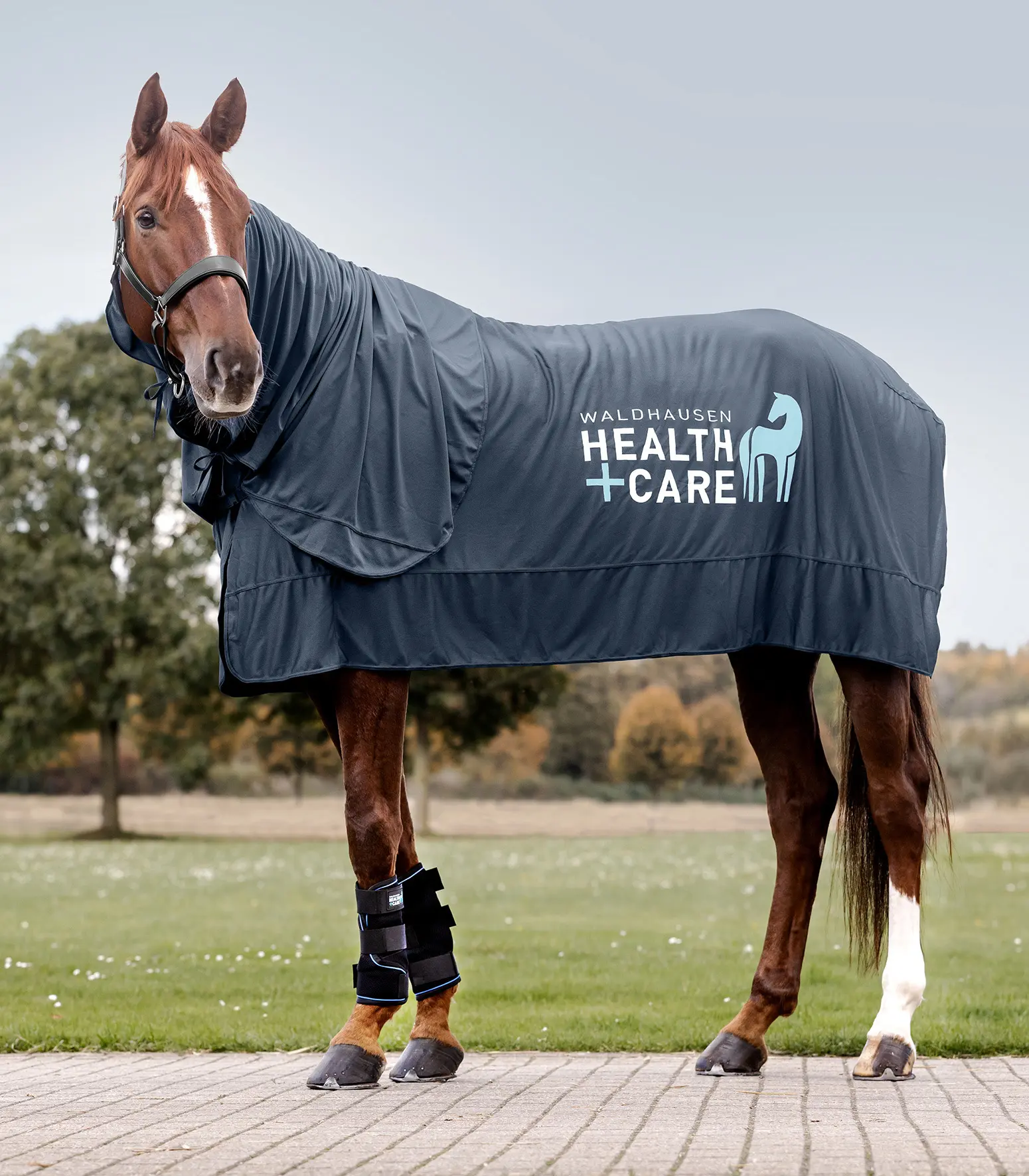 Health + Care Ice Layer Boots, pair