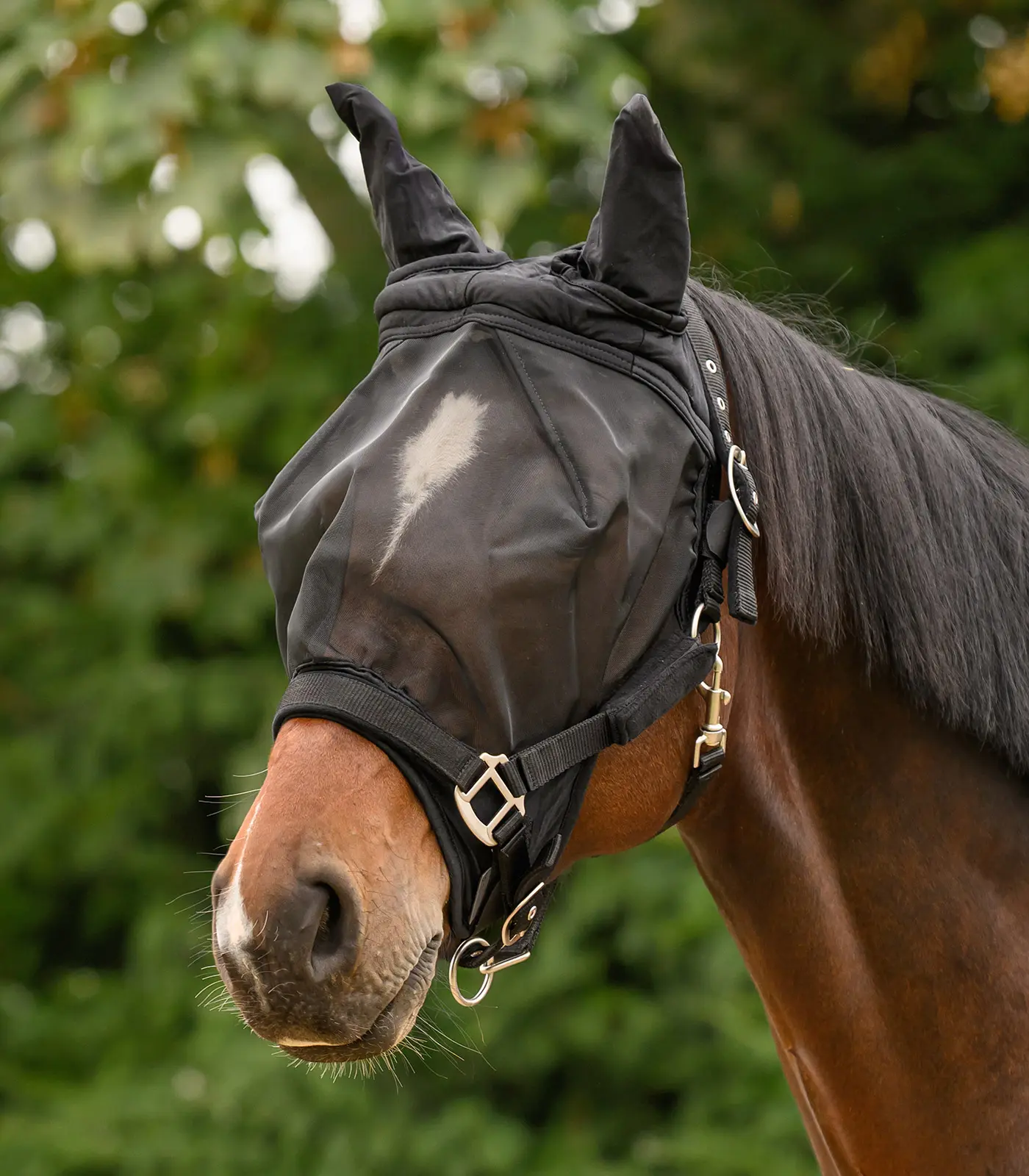 PREMIUM Fly Mask, with ear protection