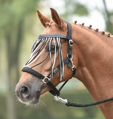 BUSSE Flystring Browband VISBY