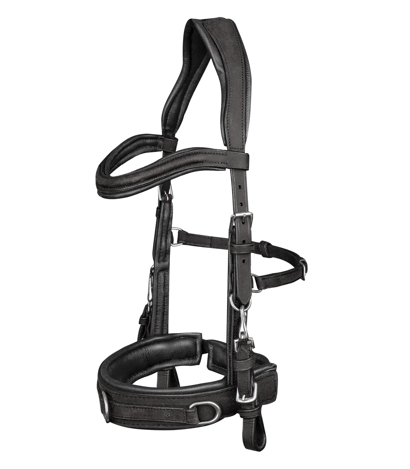 Lederkappzaum anatomic