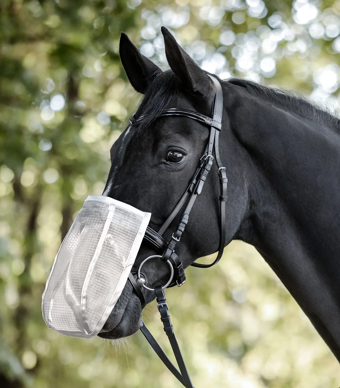 Nose Fly Shield, with UV protection