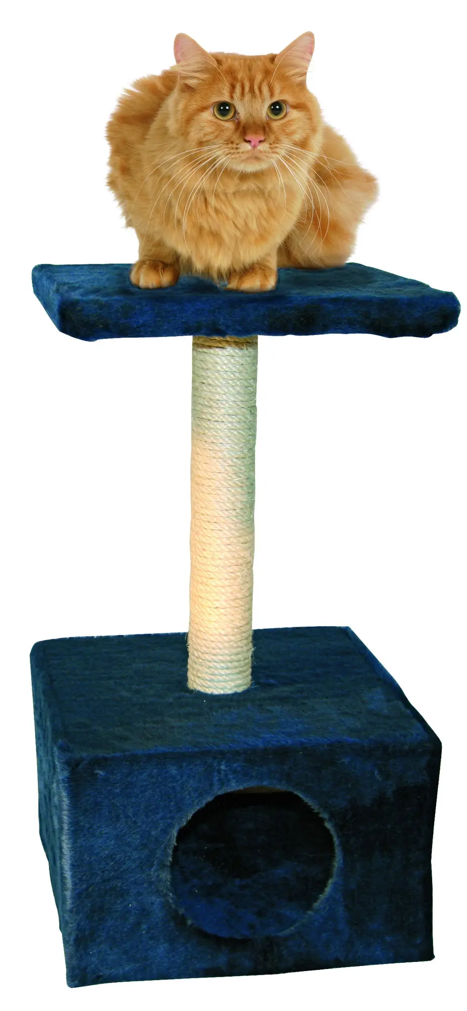Scratching Post Amethyst
