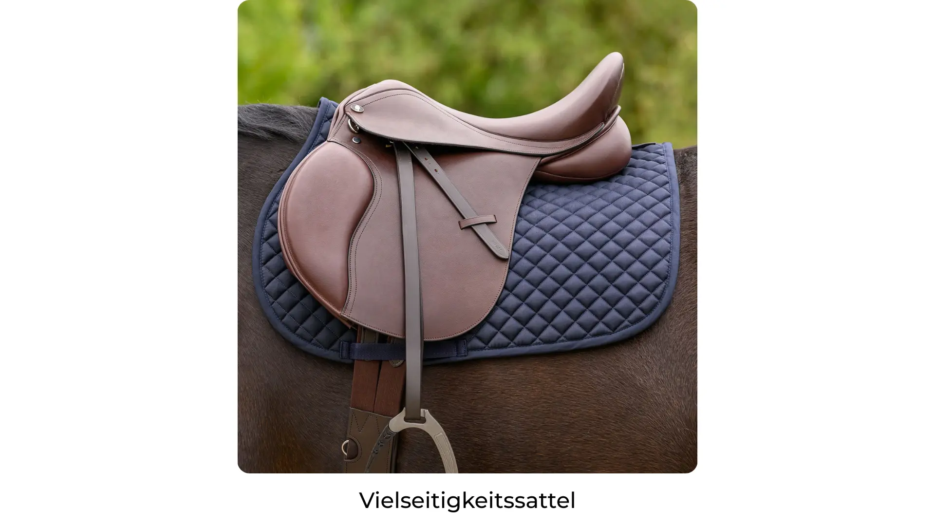 Vielseitigkeitssattel