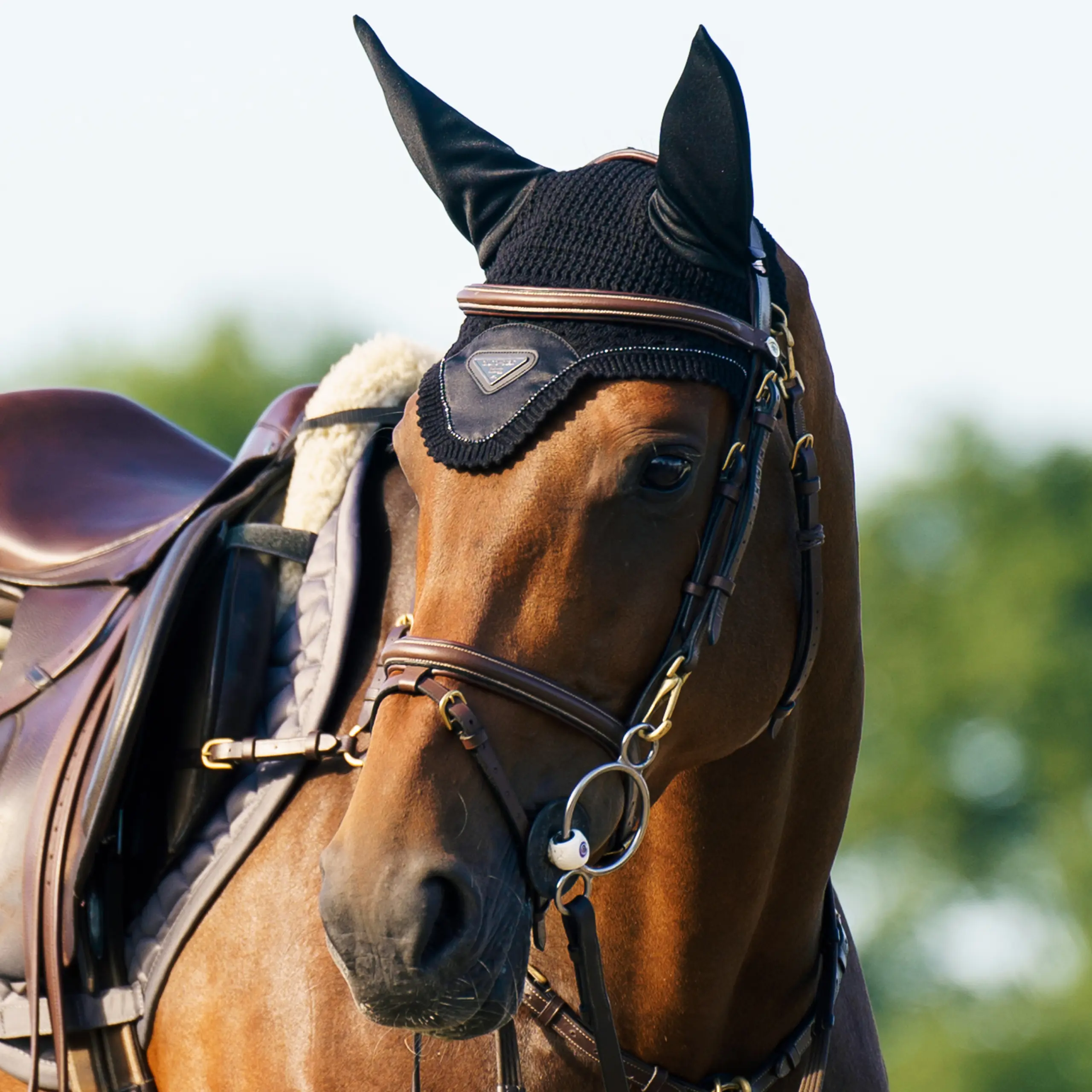Fliegenhaube ESCato Sommer 2026