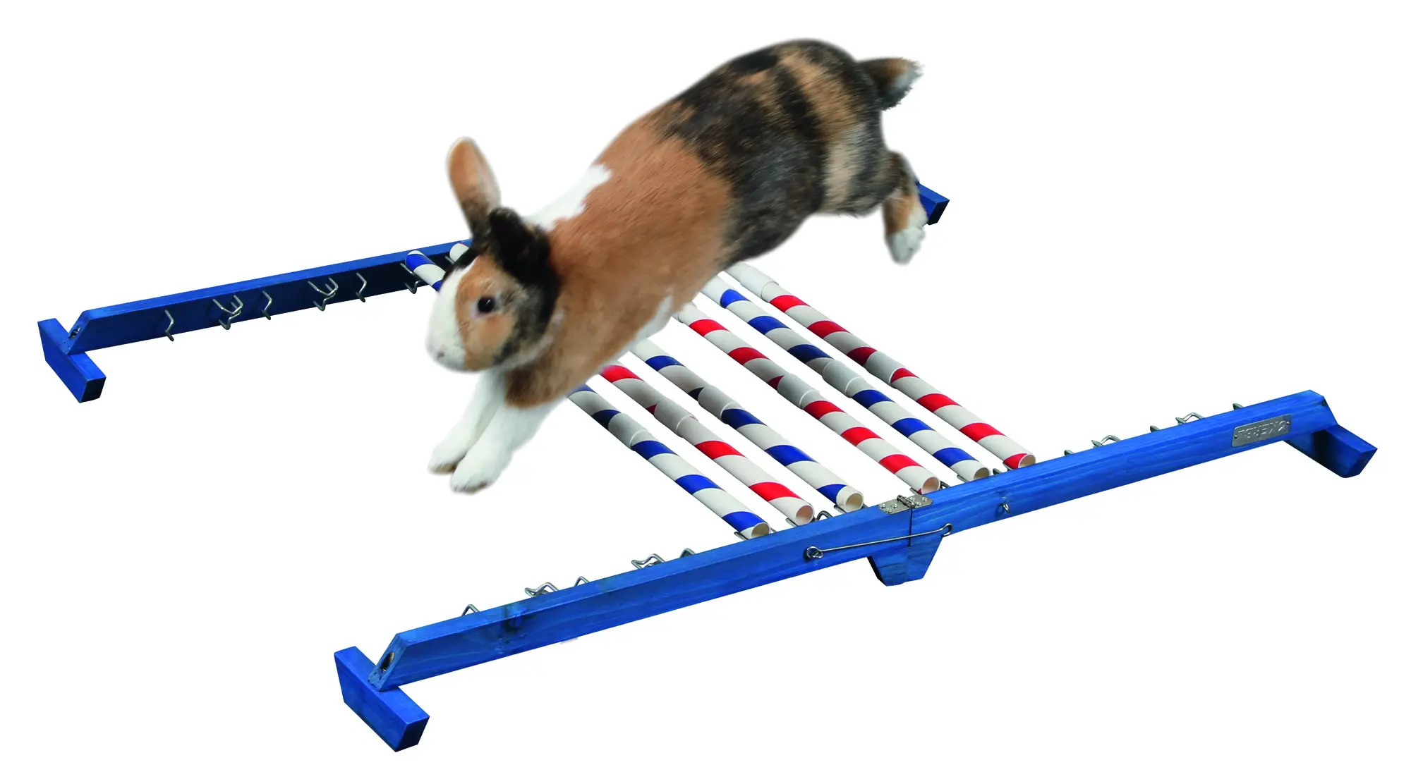 Agility Combo Jump Height 53 cm