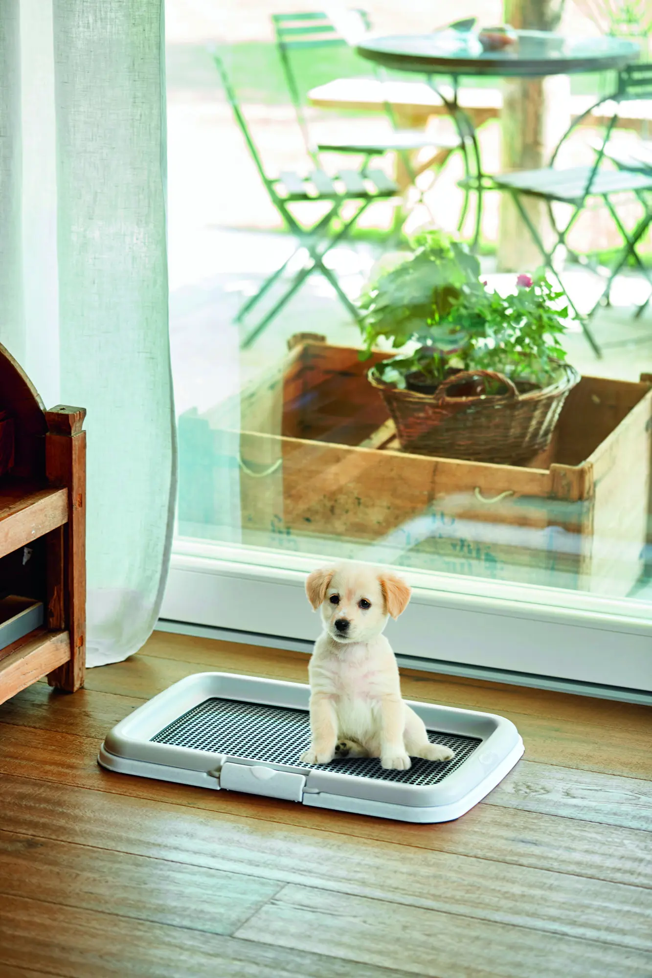 Welpentoilette Puppy Training Set 60x40x4cm