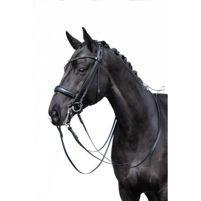 Double bridle GRACE