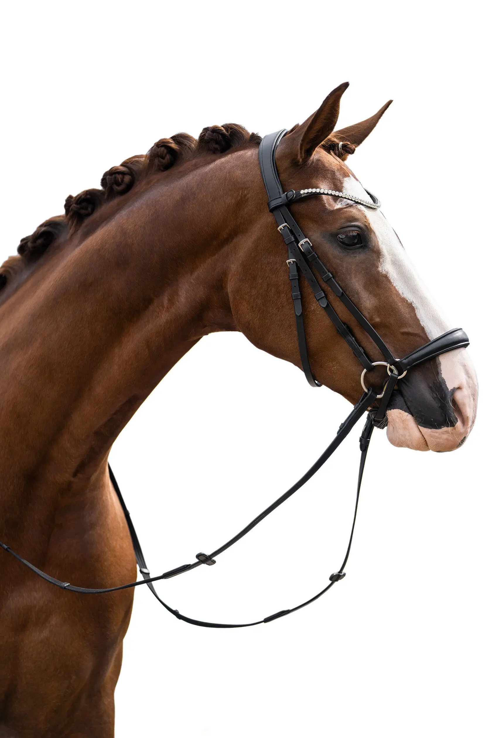 Bridle NICOLE