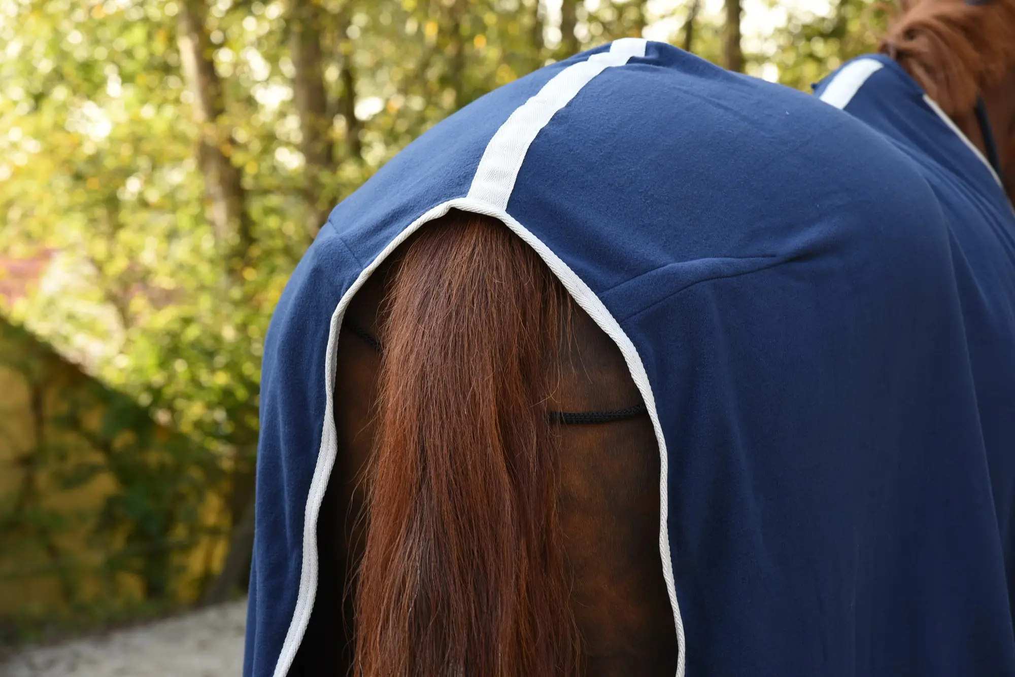 RugBe Economic Fleece Blanket