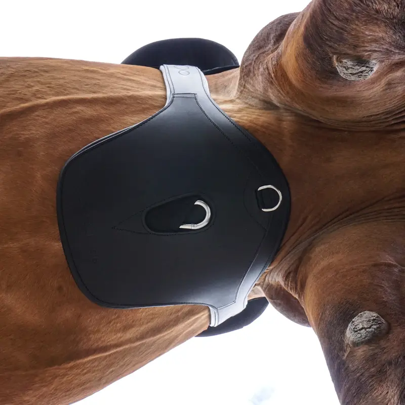 KAVALKADE Studguard