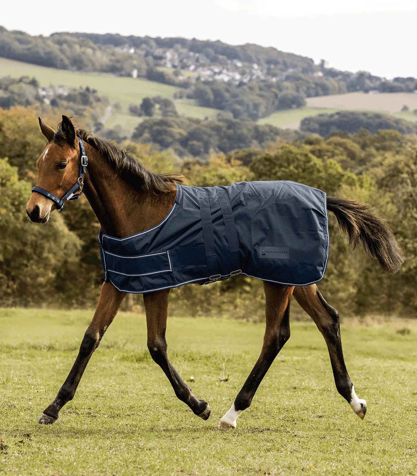 COMFORT Turnout Rug for Foals
