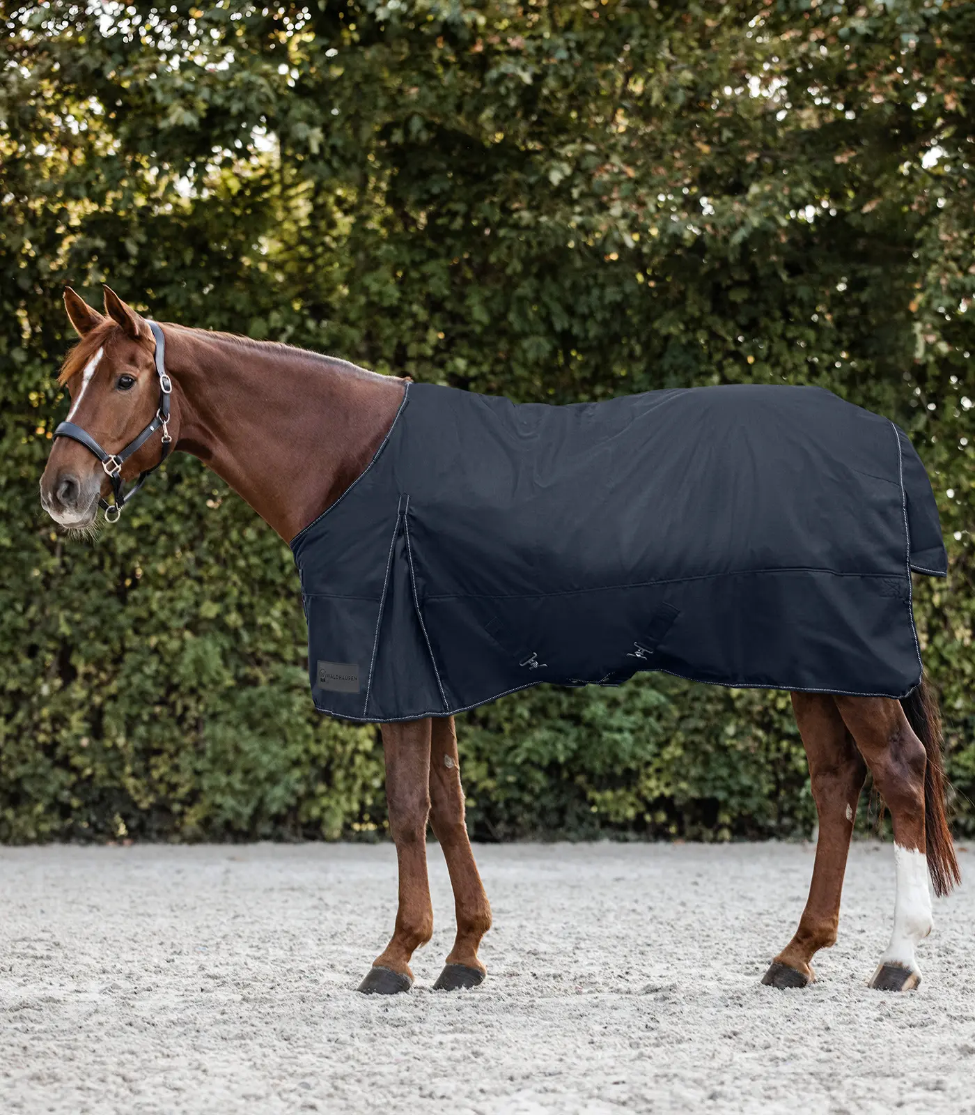 NORDIC Turnout Rug, 200 g