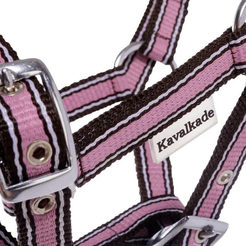 nylon Foal/Yearling halter