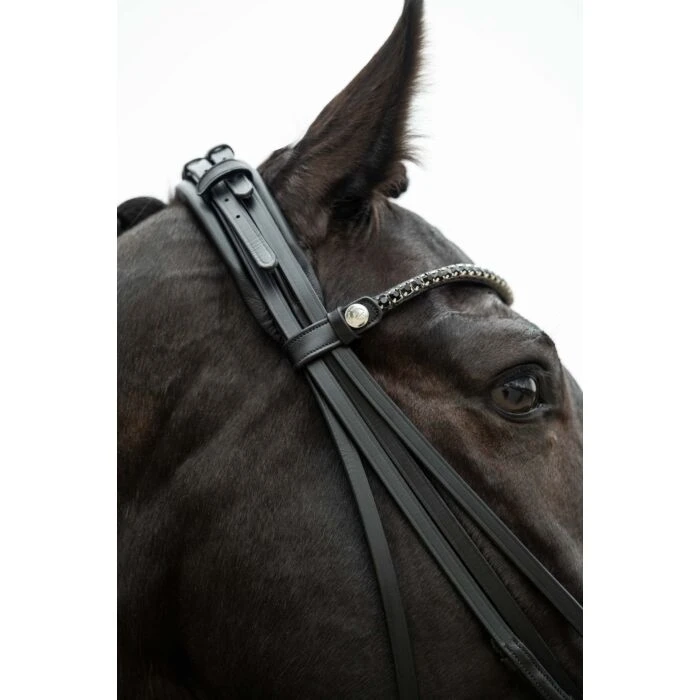Double bridle GRACE