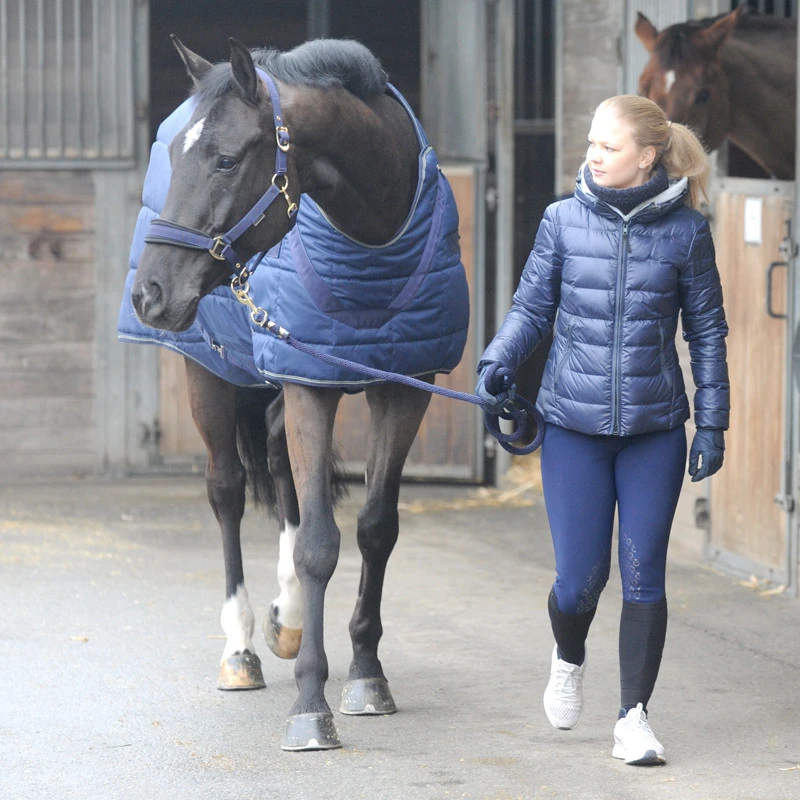 HALIFAX 2 in1 stable and walking machine rug 400 g