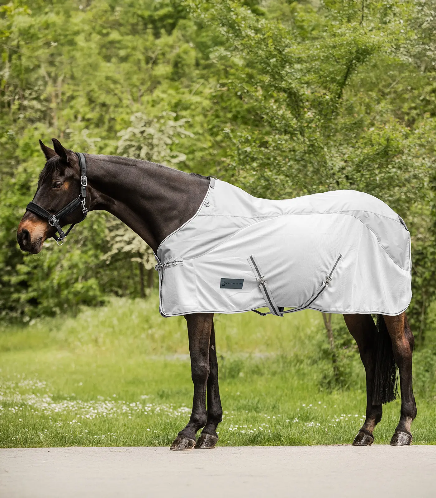 PROTECT Rain-Fly sheet