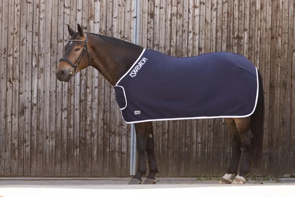 Abschwitzdecke JERSEY SHOW CORE