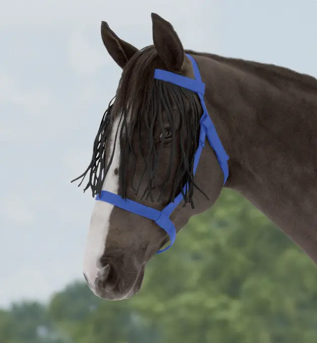 BUSSE Headcollar WEIDE-FRANSEN