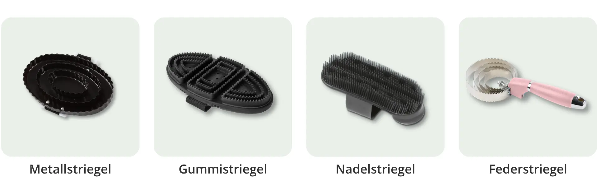  Übersicht der vier Striegelarten für die Pferdepflege: Metallstriegel, Gummistriegel, Nadelstriegel und Federstriegel nebeneinander dargestellt