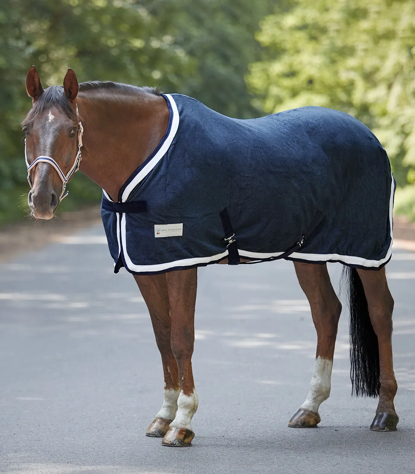 COMFORT Esperia Two Fleece Rug