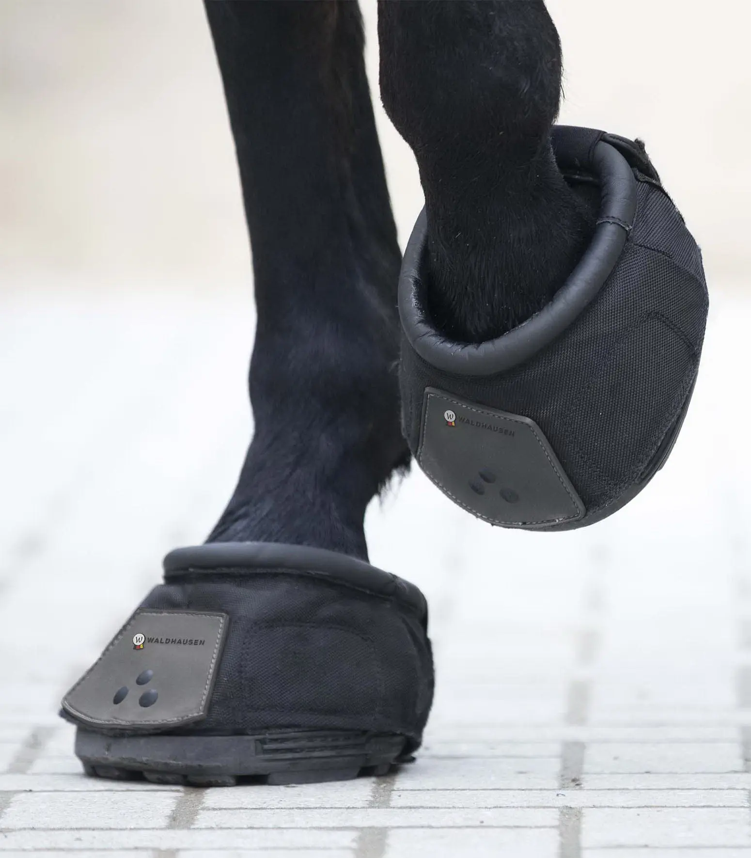 Hufschuh, Stück