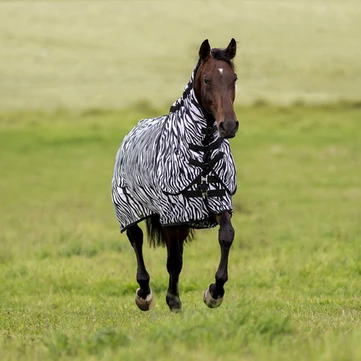BUSSE Turnout Fly Sheet COMFORT FLEXI ZEBRA