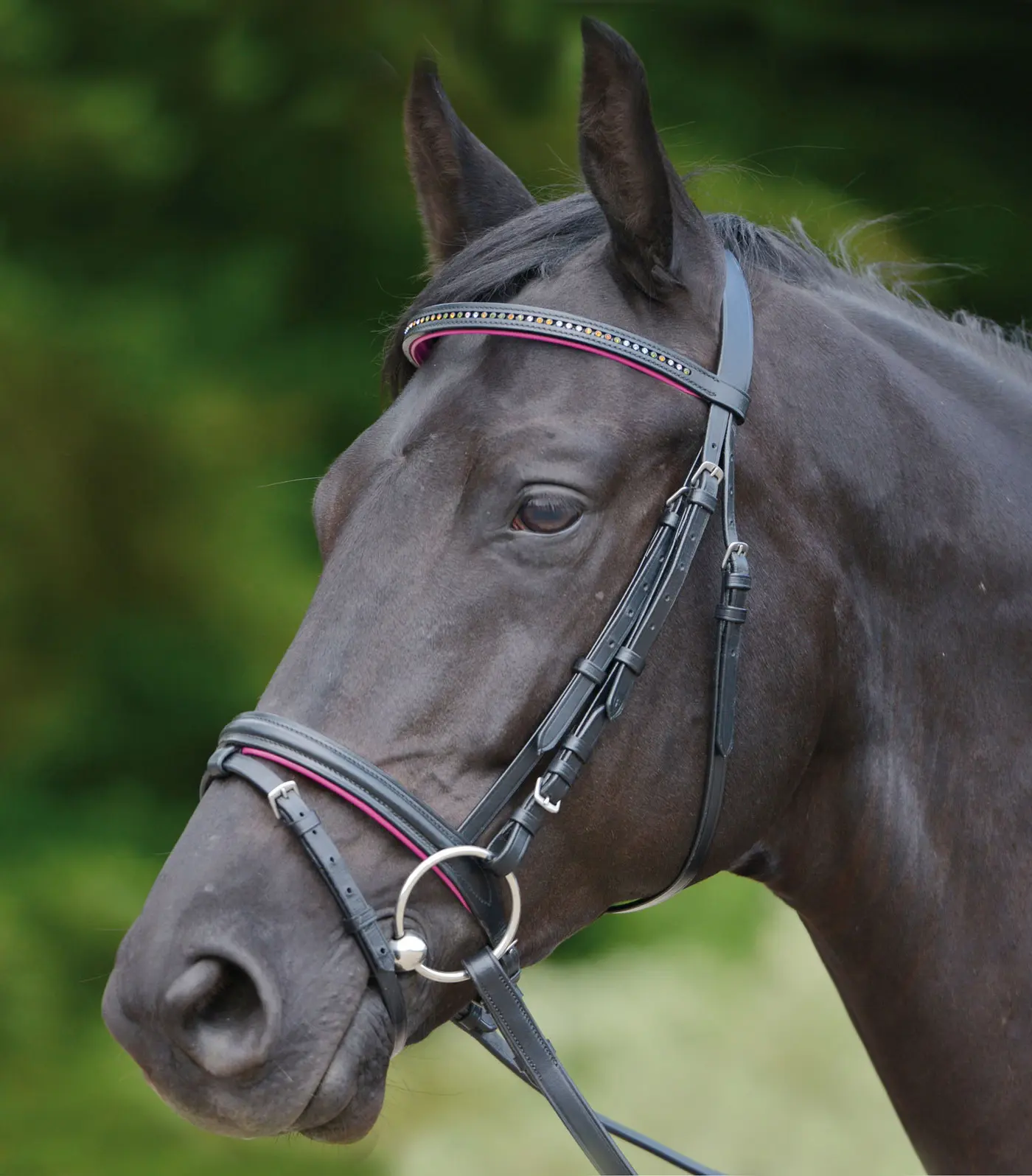 Bridle DIAMOND