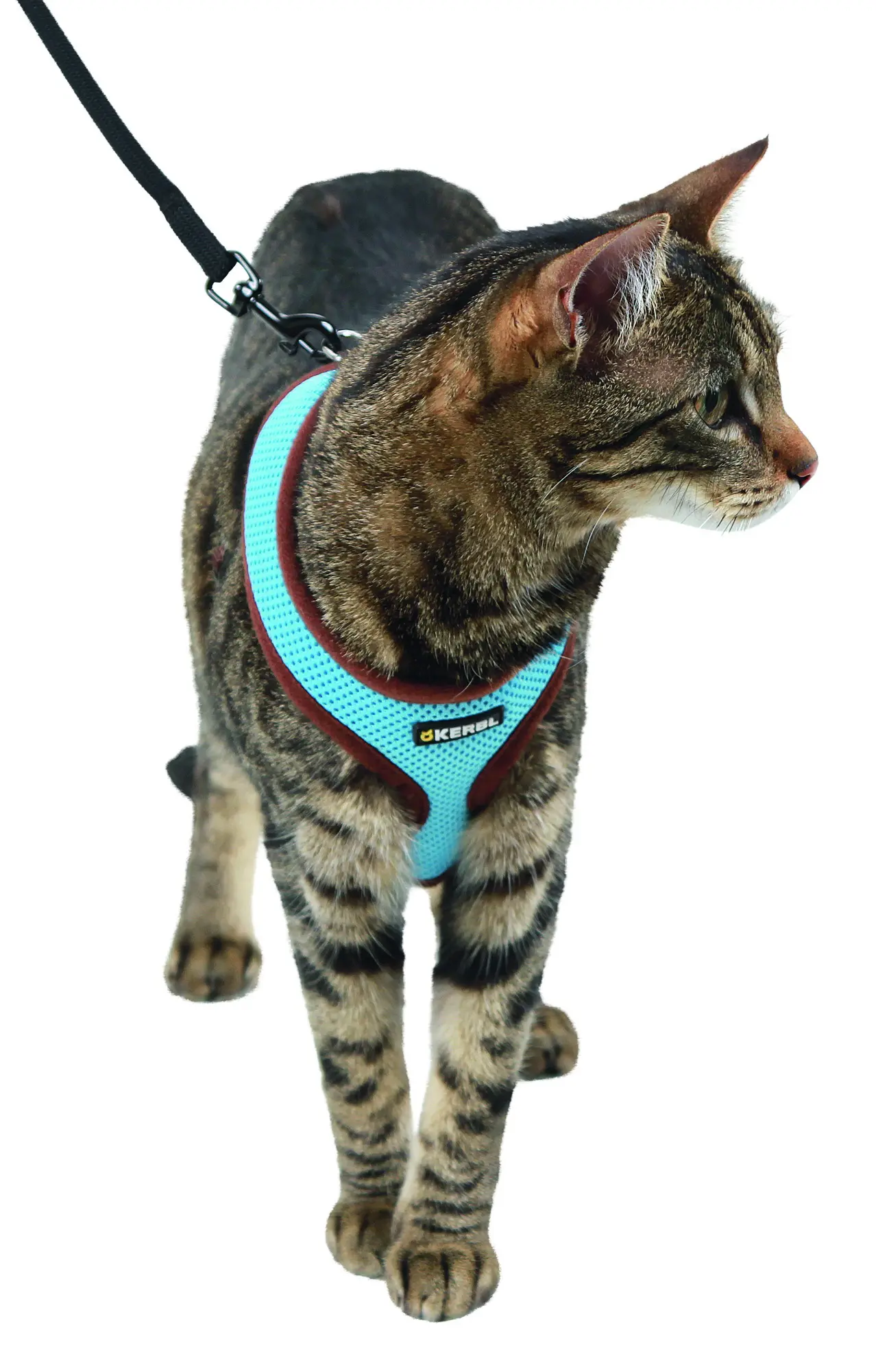 Cat Harness Activ