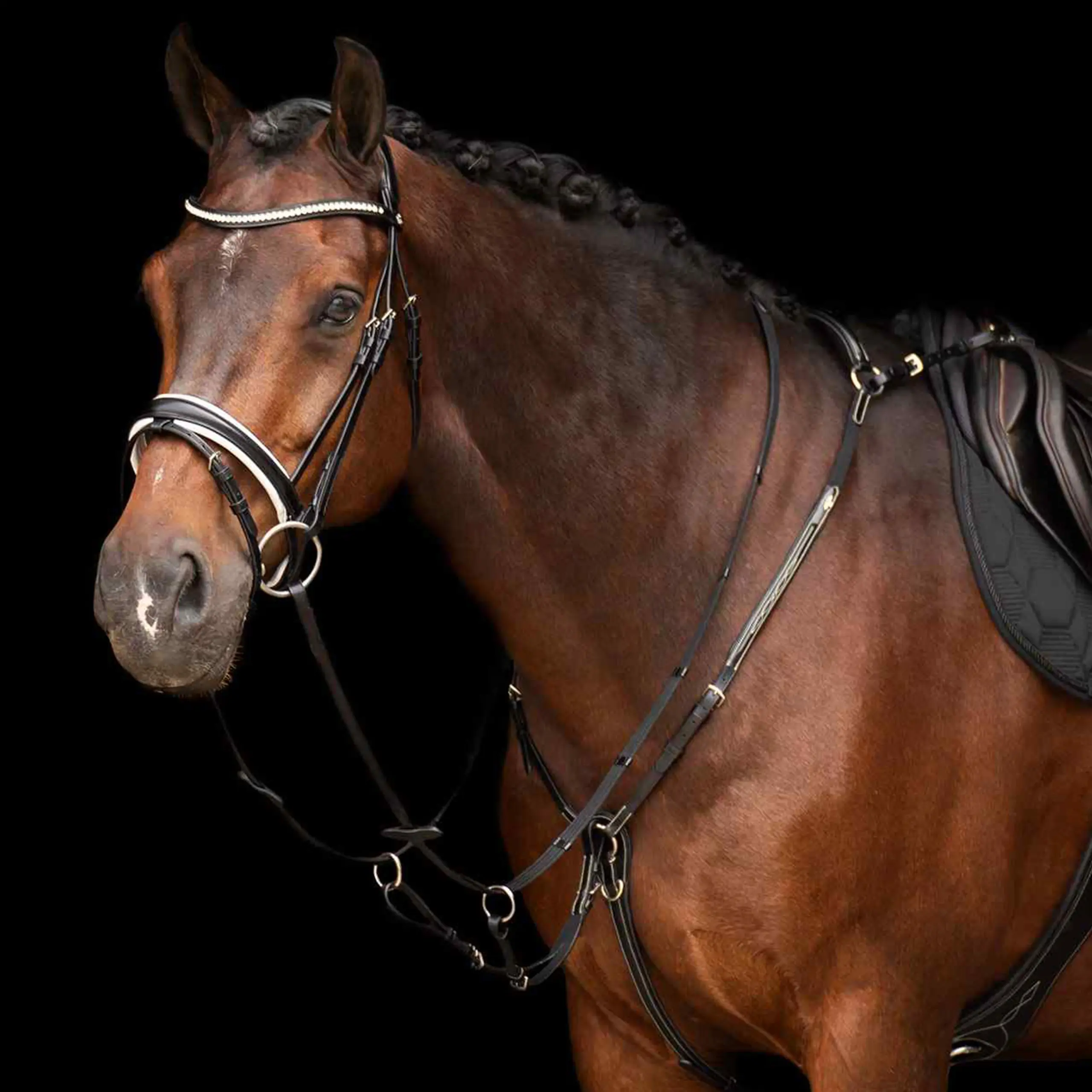 Martingale HVP-Legacy